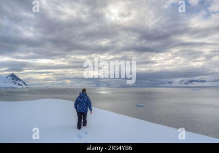 Ein männlicher Reisender geht auf einem schneebedeckten Hang in der Antarktis in Richtung Ozean Stockfoto