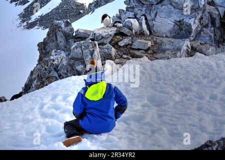 Ein Tourist sitzt neben Pinguinen in der Antarktis Stockfoto