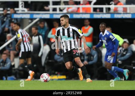 Newcastle, Großbritannien. 22. Mai 2023Newcastle Bruno Guimaraes von United während des Premier League-Spiels zwischen Newcastle United und Leicester City in St. James's Park, Newcastle am Montag, den 22. Mai 2023. (Foto: Mark Fletcher | MI News) Guthaben: MI News & Sport /Alamy Live News Stockfoto