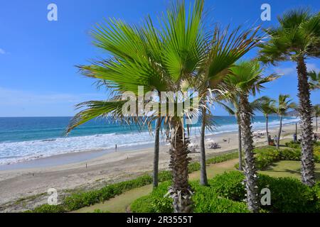 Das luxuriöse Conrad Punta de Mita Resort, Nayarit MX Stockfoto