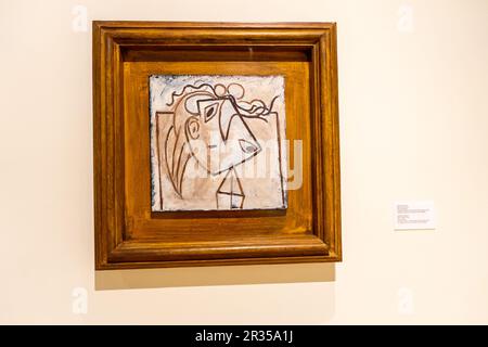 MALAGA, SPANIEN - 20. MAI 2023: Besuch des Picasso-Museums am Abend der freien Kultur in Malaga, Spanien am 20. Mai 2023 Stockfoto