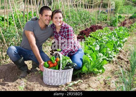 Positives junges Familienpaar mit Gemüseernte Stockfoto