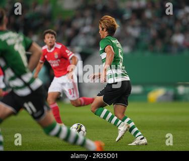 Lissabon, Portugal. 21. Mai 2023. Estadio Jose Alvalade, Lissabon, Portugal, April 11. 2023: Morita do Sporting während des Spiels zwischen Sporting CP und Benfica, gültig für die 33. Runde der Liga Portugal BWIN im Jose Alvalade Stadion in Lissabon, Portugal. (Foto: Pedro Loureiro/SPP) (Pedro Loureiro/SPP) Guthaben: SPP Sport Press Photo. Alamy Live News Stockfoto