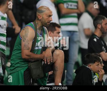 Lissabon, Portugal. 21. Mai 2023. Estadio Jose Alvalade, Lissabon, Portugal, April 11. 2023: Sportfan während des Spiels zwischen Sporting CP und Benfica, gültig für die 33. Runde der Liga Portugal BWIN im Jose Alvalade-Stadion in Lissabon, Portugal. (Foto: Pedro Loureiro/SPP) (Pedro Loureiro/SPP) Guthaben: SPP Sport Press Photo. Alamy Live News Stockfoto