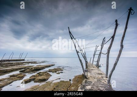 Tipicas gruas de barca, Savudrija, Halbinsel Istrien, Croacia, Europa. Stockfoto