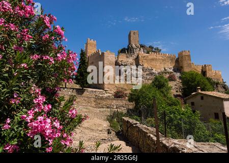 Castillo de La Iruela, origenes Almohade, construido sobre cimientos pre-bereberes, La Iruela, Valle del Guadalquivir, Parque Natural Sierras de Cazorla, Segura y Las Villas, Jaen, Andalusien, Spanien. Stockfoto