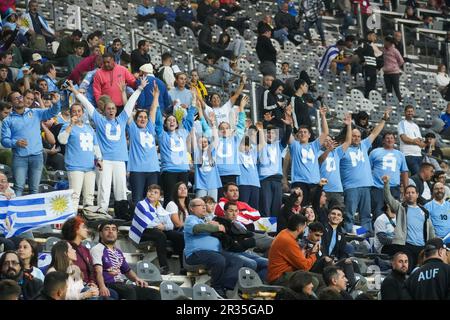 La Plata, Buenos Aires, Argentinien. 22. Mai 2023. SPORT. Demonstrantin aus Uruguay beim FIFA U-20-Weltmeisterschaftsspiel Argentinien 2023 zwischen Uruguay und dem Irak im Stadium Unico Diego Armando Maradona in La Plata, Buenos Aires, Argentinien, am 22. Mai 2023 (Bild: © Julieta Ferrario/ZUMA Press Wire) NUR REDAKTIONELLE VERWENDUNG! Nicht für den kommerziellen GEBRAUCH! Kredit: ZUMA Press, Inc./Alamy Live News Stockfoto