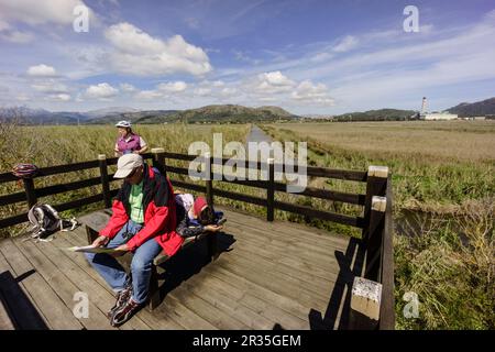 Torre de observacion, canal des Sol, S'Albufera de Mallorca, Mallorca, Balearen, Spanien. Stockfoto