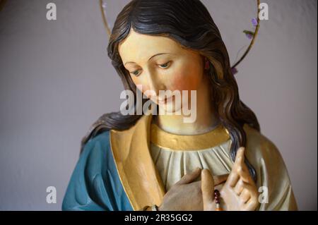 Eine Statue der Jungfrau Maria in der Heiligen Rosenkirche in Haslau-Maria Ellend, Österreich. Stockfoto