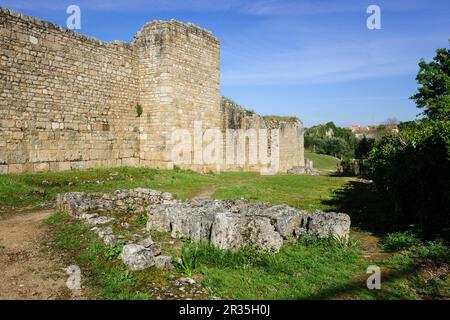 Muralla alto Imperial, remodelada por Flavio Trajanea en el siglo I, Conimbriga, Ciudad del Conventus Scallabitanus, provincia Romana de Lusitania, cerca de Condeixa-a-Nova, Distrito de Coimbra, Portugal, Europa. Stockfoto