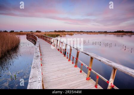 Pasarelas al Amanecer, Parque Nacional Tablas de Daimiel, Ciudad Real, Kastilien-La Mancha, Spanien, Europa. Stockfoto