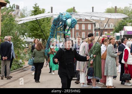 Chelsea, London, Großbritannien. 22. Mai 2023. Ein Käfer in Bewegung bei der RHS Chelsea Flower Show. Kredit: Maureen McLean/Alamy Live News Stockfoto