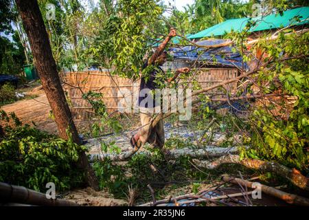 Chittagang, Cox Bazar, Bangladesch. 15. Mai 2023. Der starke Wind des Zyklons Mocha hat Teknaf und die Insel Saint Martin in Cox's Bazar stark geschädigt.Quellen zufolge wurden St. Martin's Island, Teknaf Sadar und mehrere andere Küstengebiete von starken Winden getroffen, die Bäume entwurzelten, Und weggeblasene Dächer von Häusern.Einheimische wurden dabei gesehen, wie sie fallende Bäume von den Straßen entfernt haben, während Freiwillige arbeiteten, um Menschen in Unterkünfte aus verschiedenen Teilen der Stadt zu verlegen.Witterungsbedingte Katastrophen sind in den letzten 50 Jahren stark angestiegen und haben geschwollene wirtschaftliche Schäden verursacht, sogar als Frühwarnsystem Stockfoto