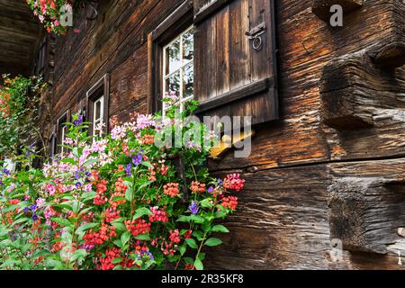 Altes Bauernhaus Stockfoto