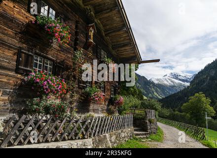 Altes Bauernhaus Stockfoto