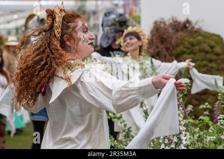 Chelsea, London, Großbritannien. 22. Mai 2023. Die weibliche morris-Seite, Boss morris, tritt mit lebendiger Geige und englischer Konzertina als Ode an die lebendige englische Tradition des morris-Tanzes auf, wobei das Thema der Thistle by Nature-Ausstellung die alte britische Landschaft feiert. Kredit: Maureen McLean/Alamy Live News Stockfoto