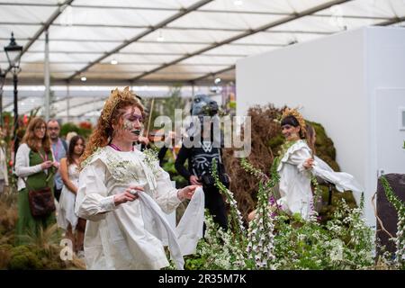 Chelsea, London, Großbritannien. 22. Mai 2023. Die weibliche morris-Seite, Boss morris, tritt mit lebendiger Geige und englischer Konzertina als Ode an die lebendige englische Tradition des morris-Tanzes auf, wobei das Thema der Thistle by Nature-Ausstellung die alte britische Landschaft feiert. Kredit: Maureen McLean/Alamy Live News Stockfoto