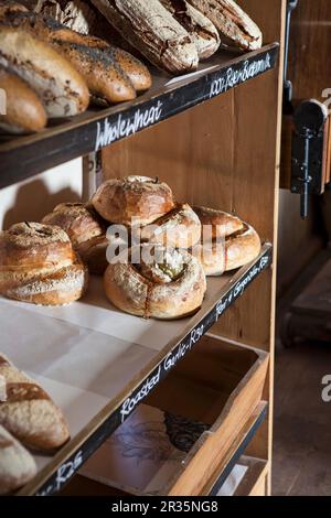 Verschiedene Brotlaibe und Brötchen auf einem Regal in einer Bäckerei Stockfoto