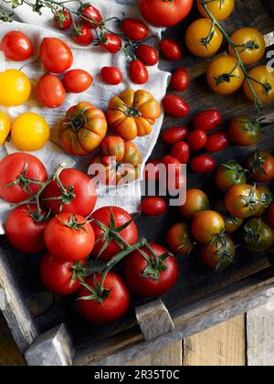 Verschiedene Tomatensorten in einer Holzkiste Stockfoto