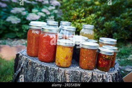 Konservierung von Gläsern mit Tomaten und Relikten auf einem Baumstumpf in einem Garten Stockfoto