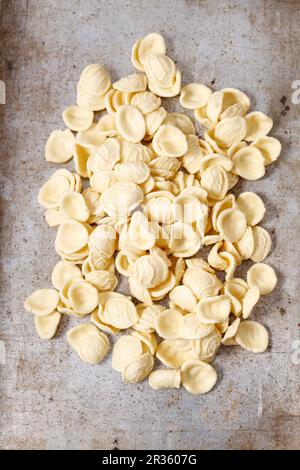 Frische Orecchiette-Pasta Stockfoto