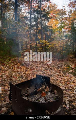 Brennendes Feuerholz in einer Feuerstelle auf einem Campingplatz während der bunten Herbstsaison Stockfoto