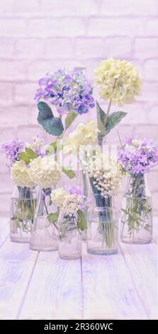 Blumen in Flaschen Stockfoto