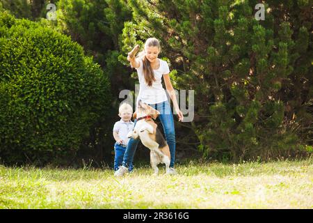 Mädchen spielt mit einem Hund auf dem Hof Stockfoto