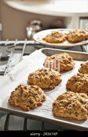 Cookies auf ein Backblech Stockfoto