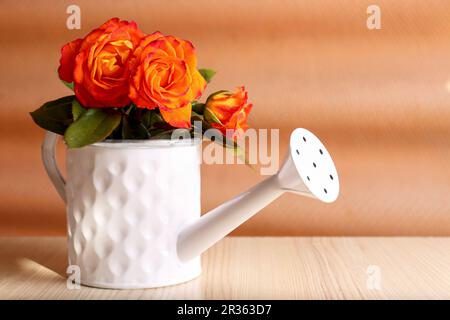 Stilvolle Gießkanne mit wunderschönen orangefarbenen Rosen auf weißem Holztisch Stockfoto