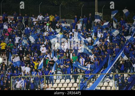 Sete Lagoas, Brasilien. 22. Mai 2023. MG - SETE LAGOAS - 05/22/2023 - BRAZILEIRO A 2023, CRUZEIRO X CUIABA - Cruzeiro Fans während eines Spiels gegen Cuiaba im Stadion Arena do Jacare für die BRAZILEIRO A 2023 Meisterschaft. Foto: Gilson Junio/AGIF/Sipa USA Kredit: SIPA USA/Alamy Live News Stockfoto