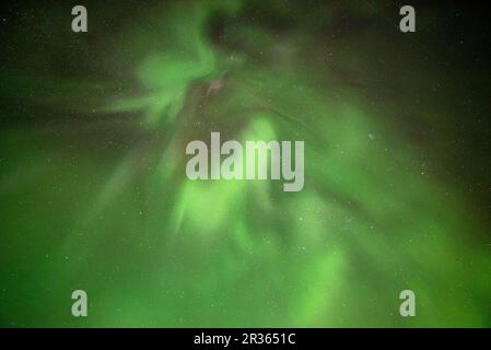 Polarlichter im Norden Kanadas, Yukon Territory. Blick auf die aurora Borealis mit Sternen und einzigartigen Formationen. Stockfoto