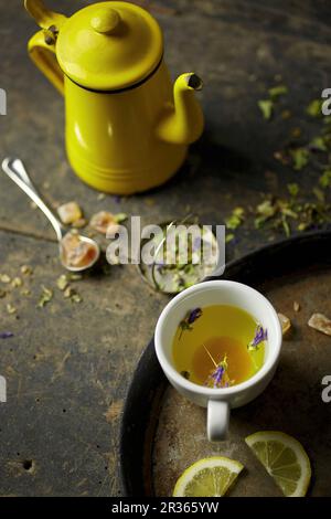 Kräutertee mit Steinzucker Stockfoto