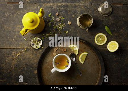 Kräutertee, Steinzucker und Zitrone Stockfoto