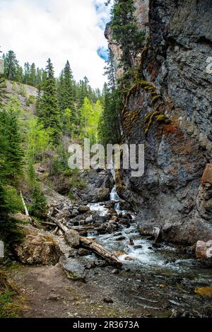 Wunderschöne Wasserfälle durch riesige Felsen und Wälder in Banff Canada Stockfoto