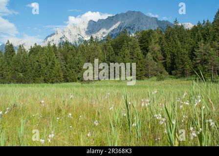 Panoramablick vom Lautersee, Karwendel, Deutschland, Bayern Stockfoto