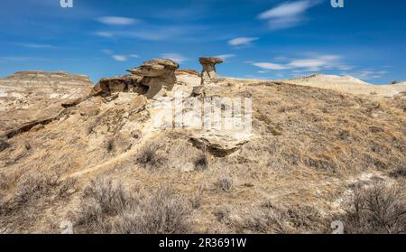 Kleine Hoodoos im Dinosaur Provincial Park, Alberta, Kanada Stockfoto