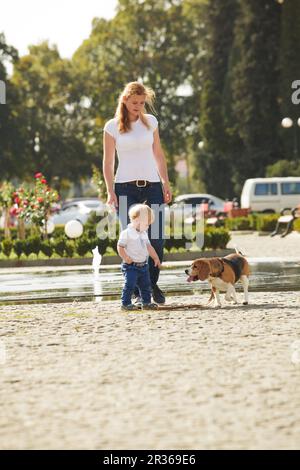 Junge ist den Hund Fuß. Stockfoto