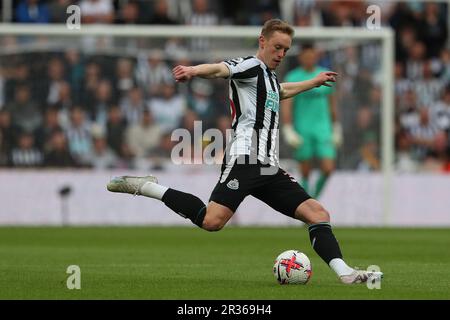 Newcastle, Großbritannien. 22. Mai 2023Newcastle Sean Longstaff von United während des Premier League-Spiels zwischen Newcastle United und Leicester City in St. James's Park, Newcastle am Montag, den 22. Mai 2023. (Foto: Mark Fletcher | MI News) Guthaben: MI News & Sport /Alamy Live News Stockfoto