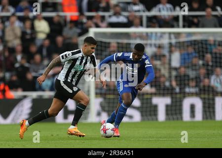 Newcastle, Großbritannien. 22. Mai 2023Newcastle Bruno Guimaraes von United während des Premier League-Spiels zwischen Newcastle United und Leicester City in St. James's Park, Newcastle am Montag, den 22. Mai 2023. (Foto: Mark Fletcher | MI News) Guthaben: MI News & Sport /Alamy Live News Stockfoto