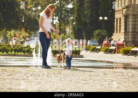 Junge ist den Hund Fuß. Stockfoto