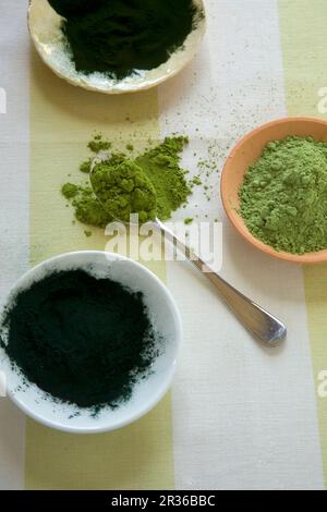 Grünes Superfood-Pulver in Schüsseln und auf einem Löffel Stockfoto