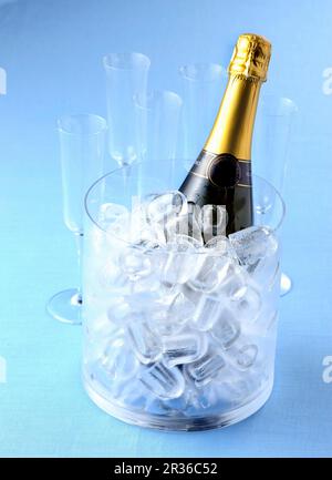 Eine Flasche Sekt in einem Eiskübel Stockfoto