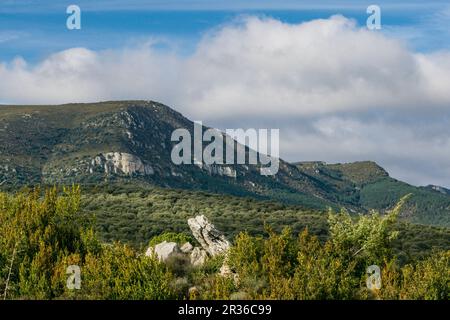 Dolmen de Pueoril - Dolmen de Puyurí-, III milenio antes de Cristo, ruta de los megalitos del alto Aragon, Paúles de Sarsa, Provincia de Huesca, Comunidad Autónoma de Aragón, cordillera de los Pirineos, Spanien, europa. Stockfoto