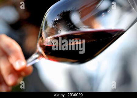 Eine Hand mit einem Glas Rotwein Stockfoto