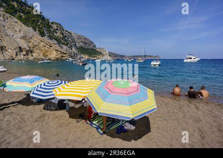 Sombrillas de la Playa de Es Coll Baix, ein Los pies del Puig de Sa Talaia, Alcudia, Islas Baleares, Spanien. Stockfoto