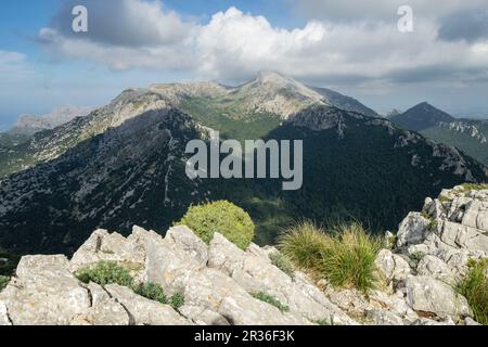 Puig de Massanella, 1364 mts, Escorca, Paraje natural de la Serra de Tramuntana, Mallorca, Balearen, Spanien. Stockfoto