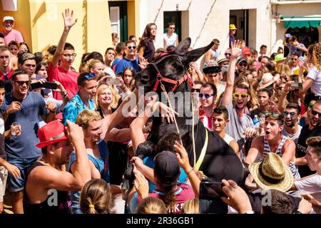 Parodia de Jaleo, Jaleo d'Ases, Fiestas de Sant Bartomeu, Ciutadella, Menorca, Balearen, Spanien. Stockfoto