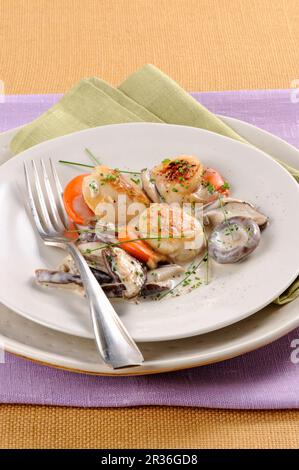 Jakobsmuscheln mit einer Pilzrahmsauce Stockfoto