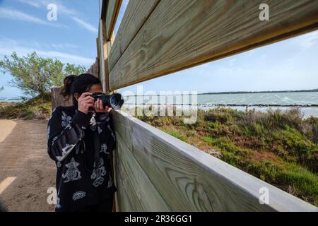 Vogelbeobachtung in Estany Pudent, Formentera, Pitiusas-Inseln, Balearen, Spanien. Stockfoto